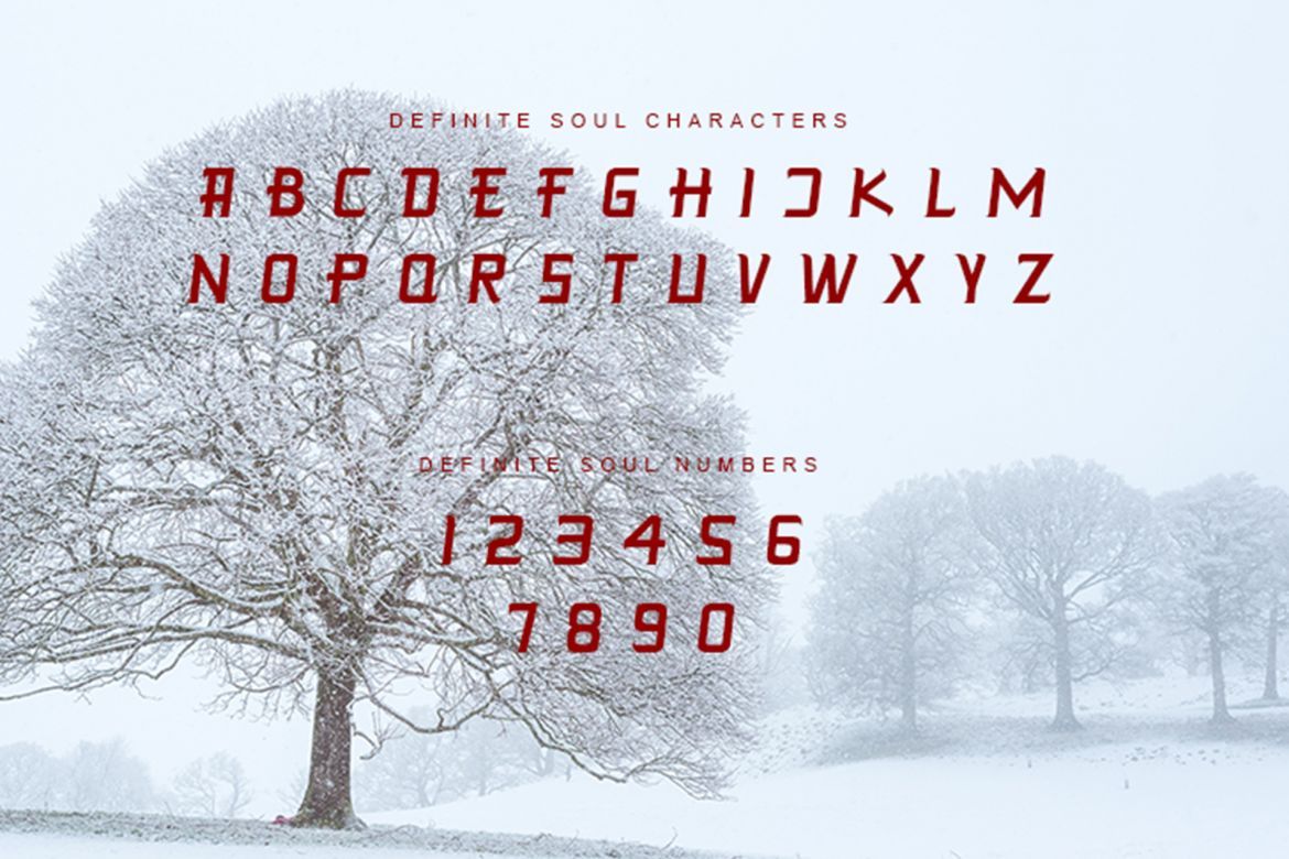 DEFINITE SOUL alternate