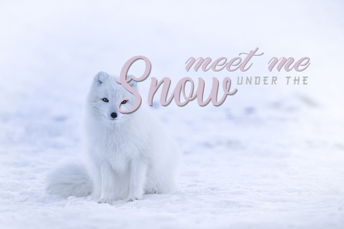 DEFINITE SOUL - view 3