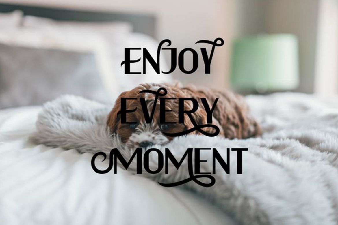 Alyshen Font - view 5