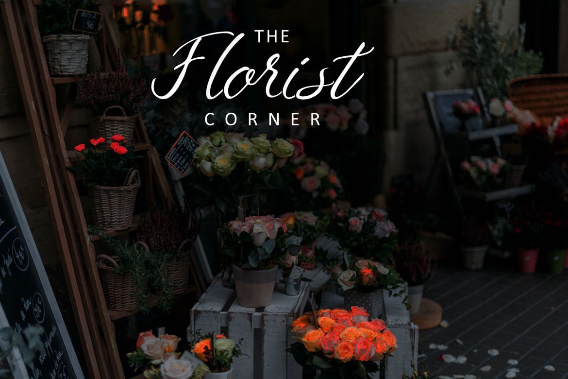 Azkadina Script - view 5