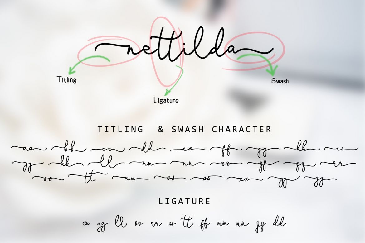 Stefani Script - view 4