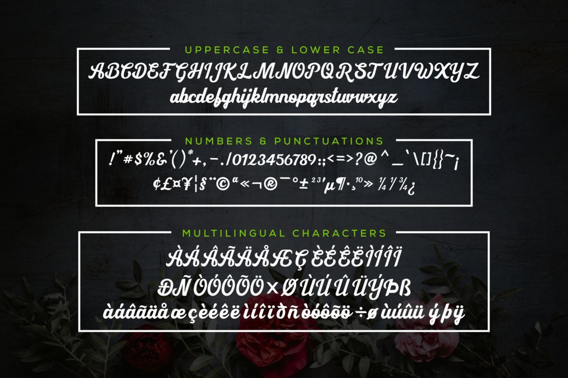 Cipthayasa Script - view 4