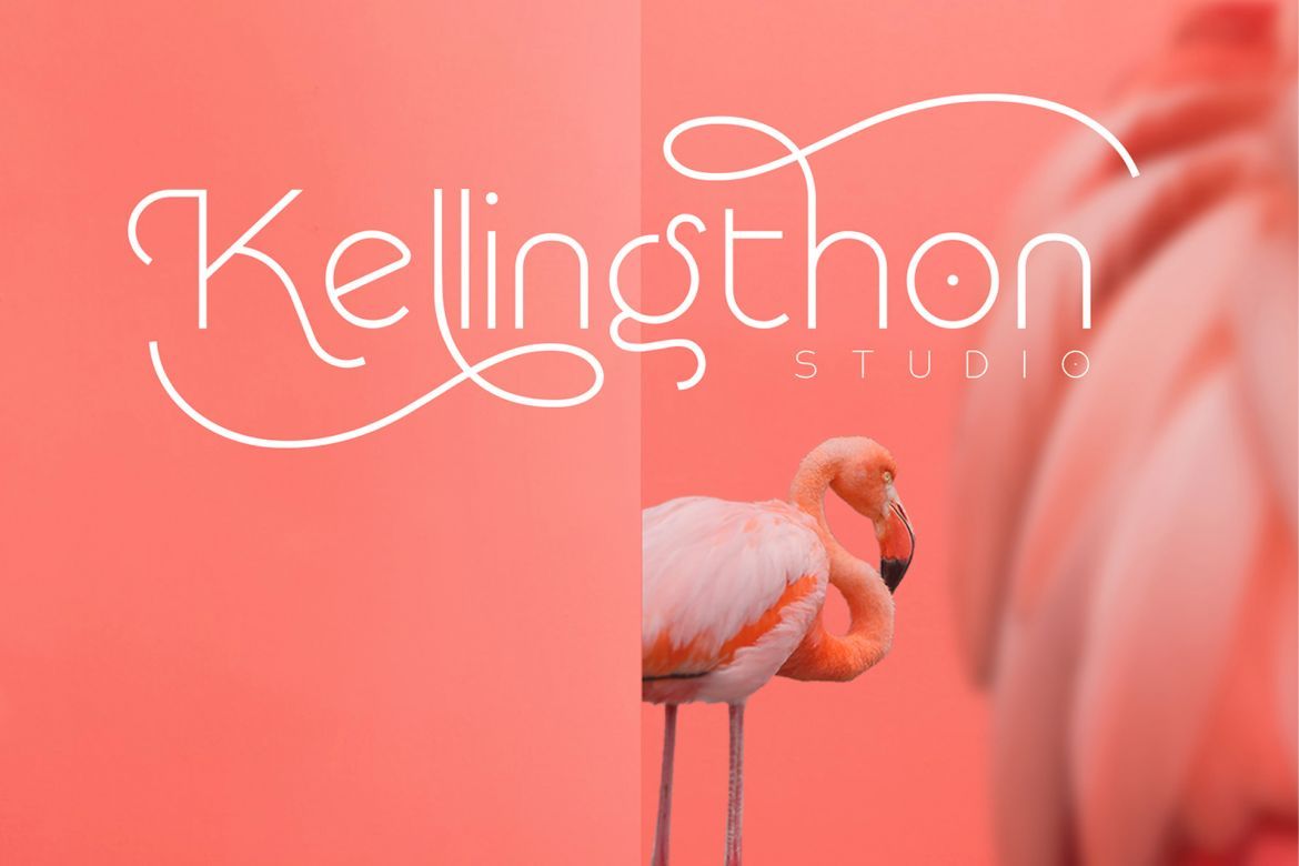 Rollgates Font - view 3