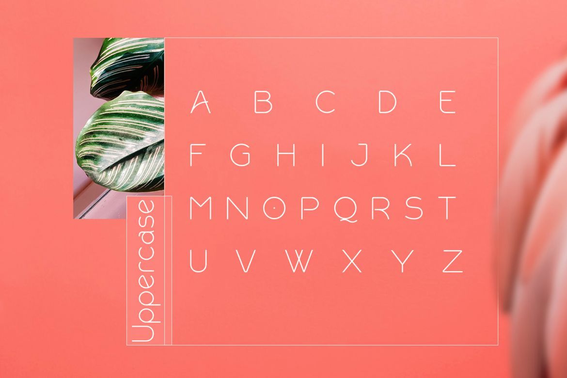 Rollgates Font - view 6