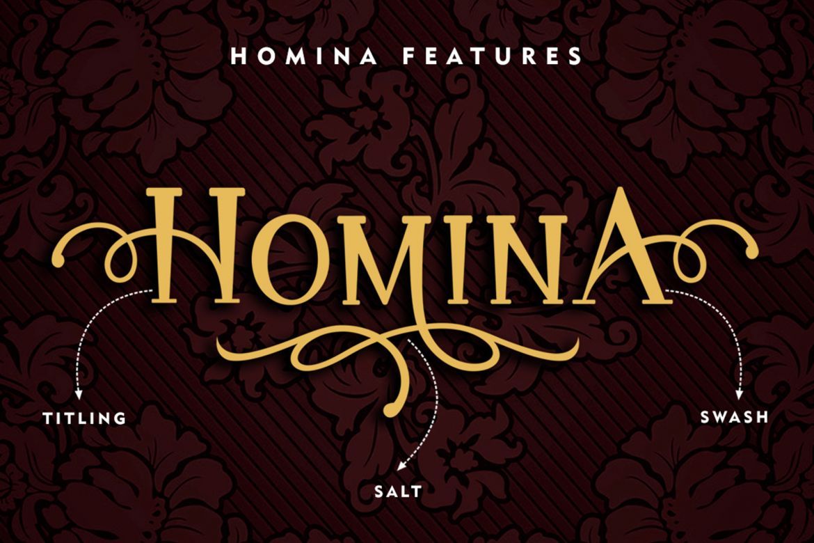 Homina Display Font - view 3