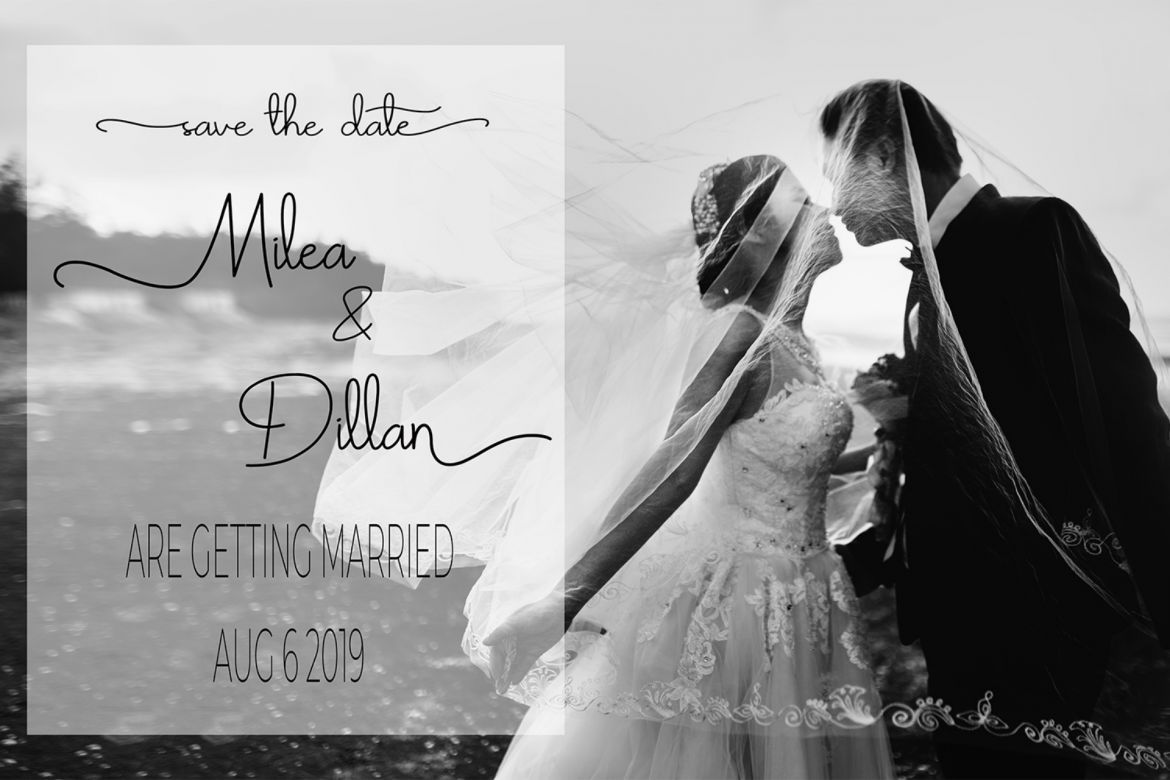 Angelia Script - view 4