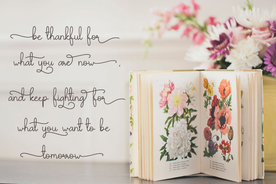 Angelia Script - view 5