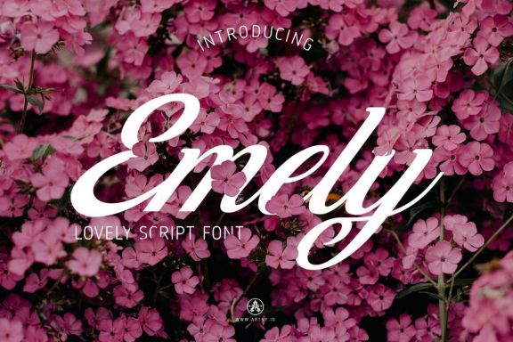Emely Lovely Script