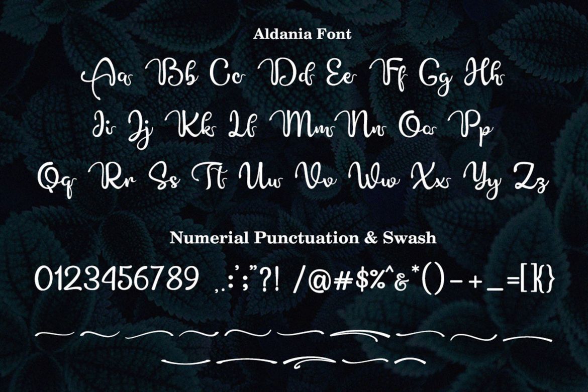 Aldania Unique Font alternate