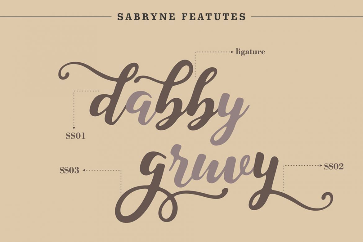 Sabryne Script Font - view 8