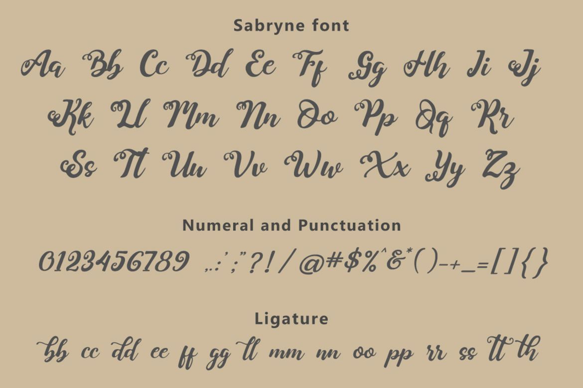 Sabryne Script Font - view 10