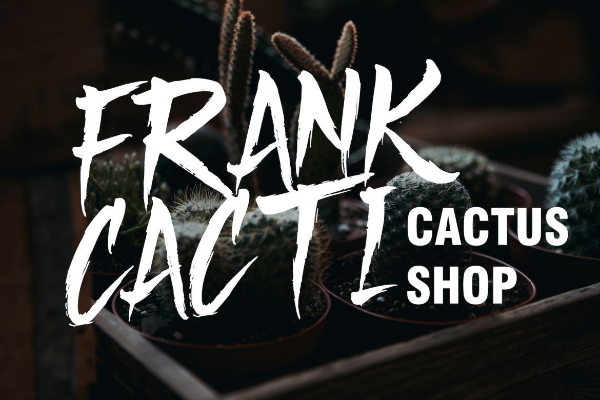 Thorletto Brush Font - view 4