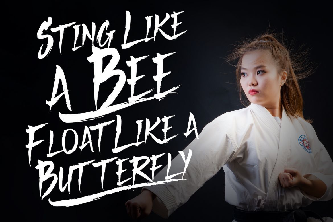 Thorletto Brush Font - view 8