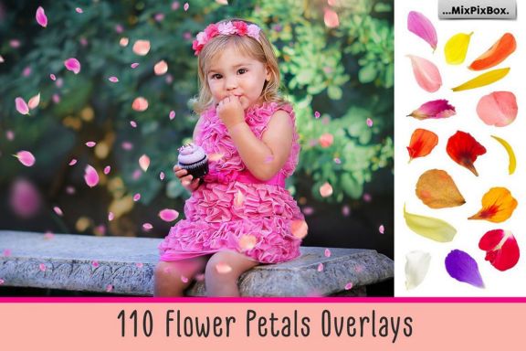 Flower Petals Photo Overlays