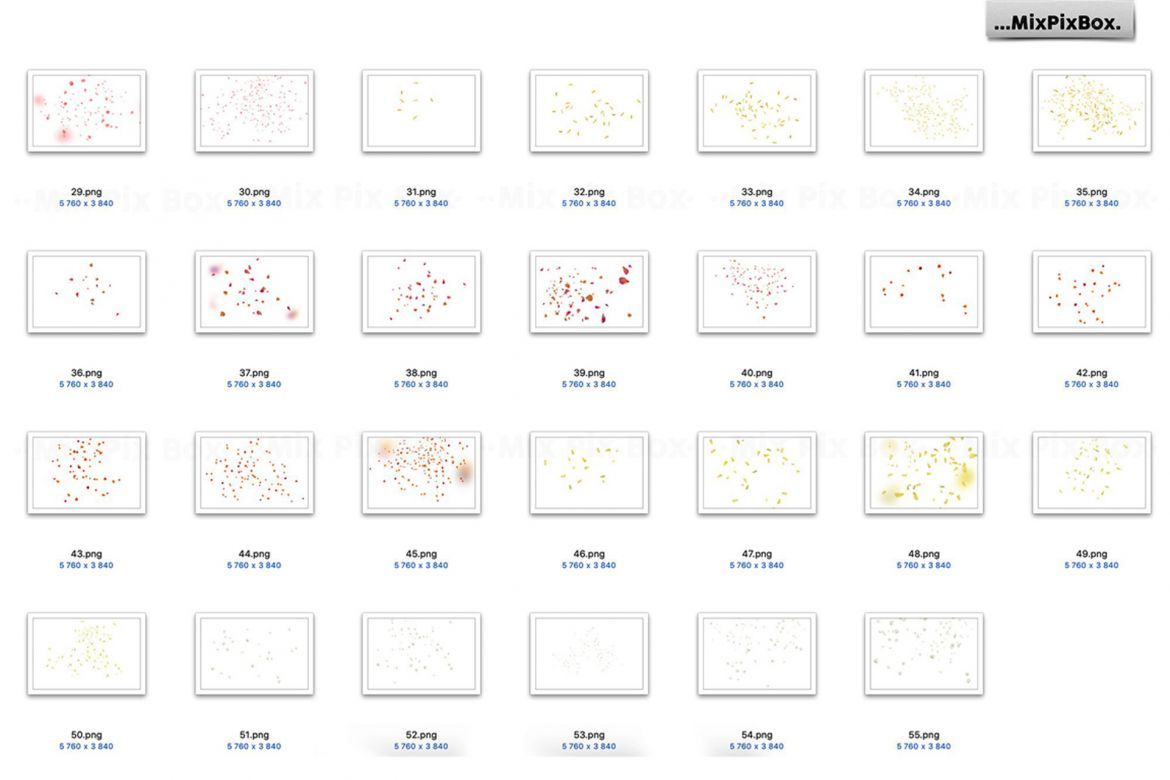 Flower Petals Photo Overlays - view 7