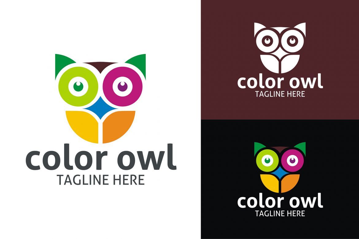 Color Owl Logo - view 2