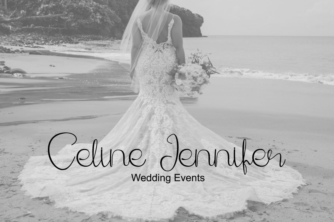 Phanthomim Script - view 3