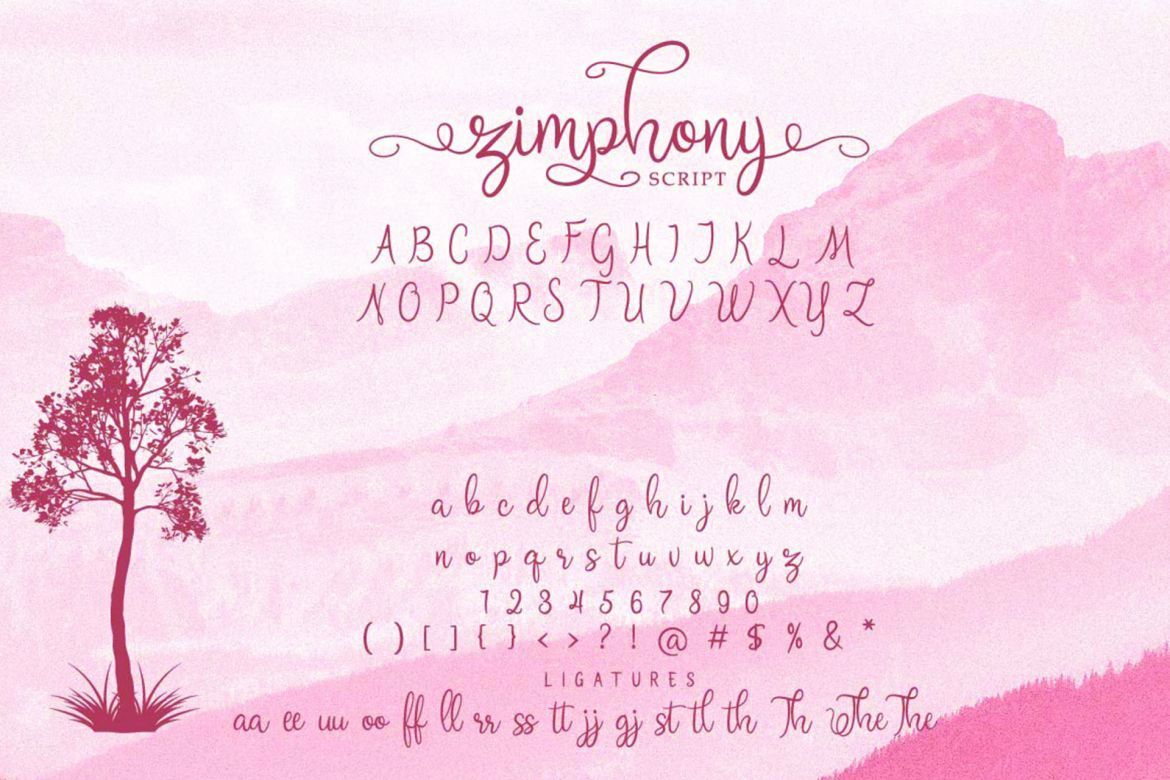 Zimphony Font Duo - view 3