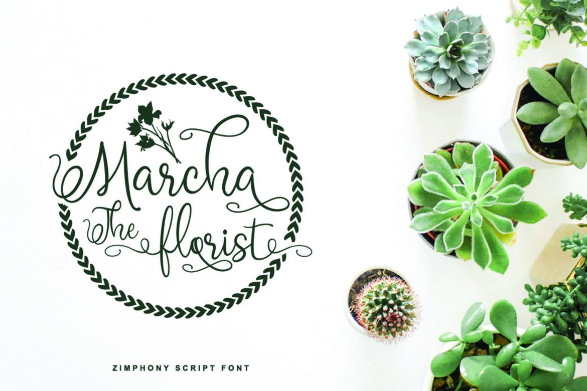 Zimphony Font Duo - view 4