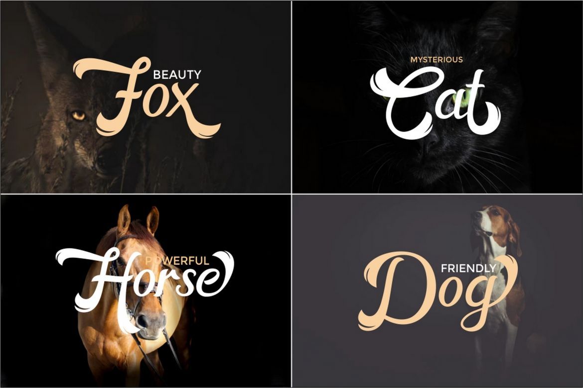 Horstail Display Font - view 4