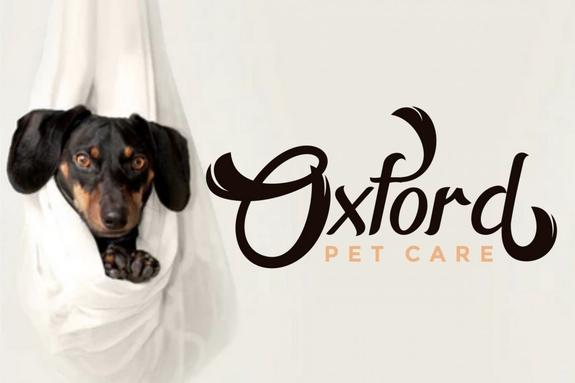 Horstail Display Font - view 5