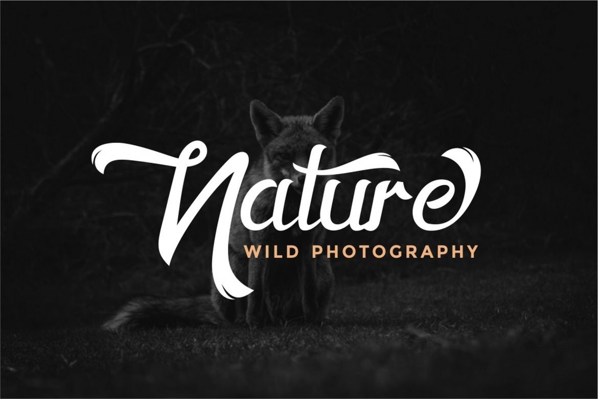 Horstail Display Font - view 6