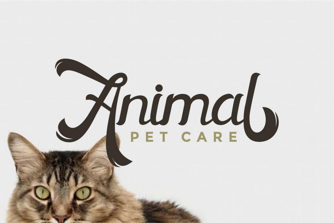 Horstail Display Font - view 7