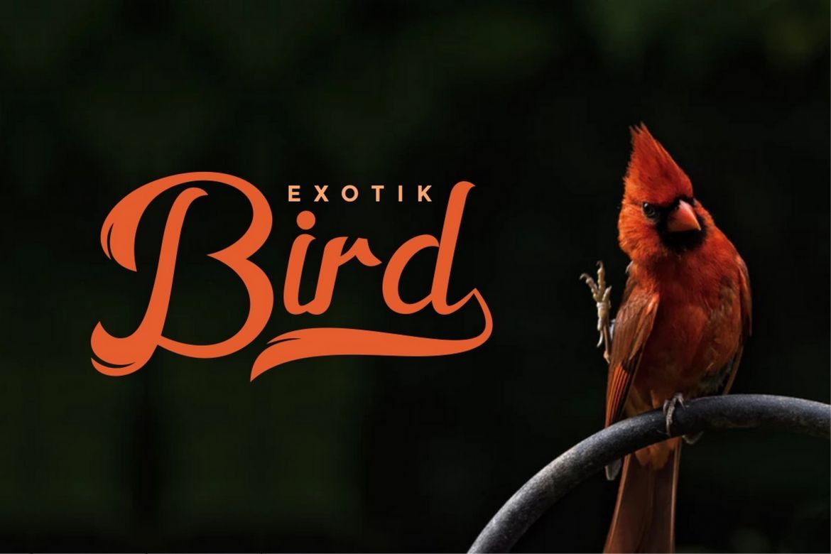 Horstail Display Font - view 8