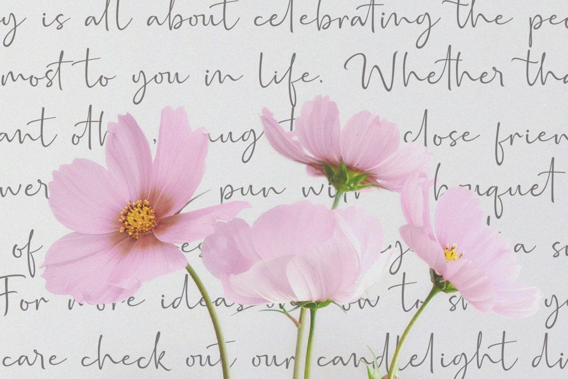 Marthin Script - view 10