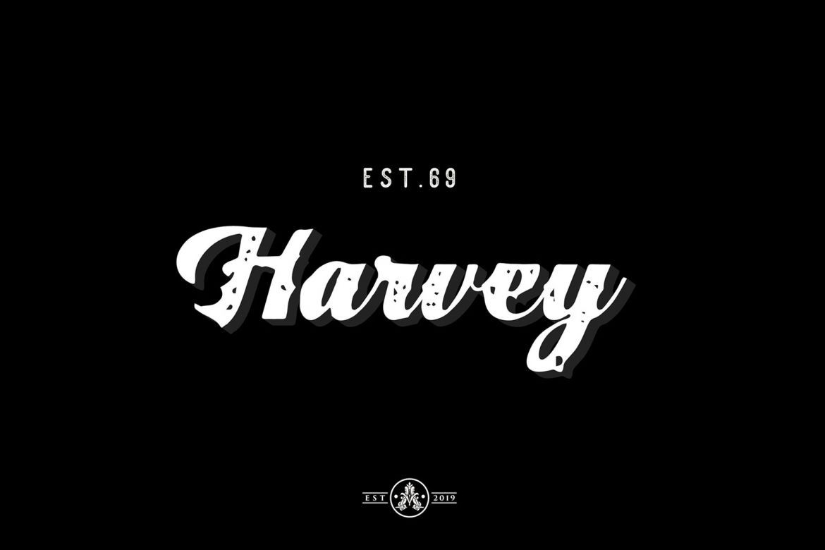Tom Harvey Font Family - view 4
