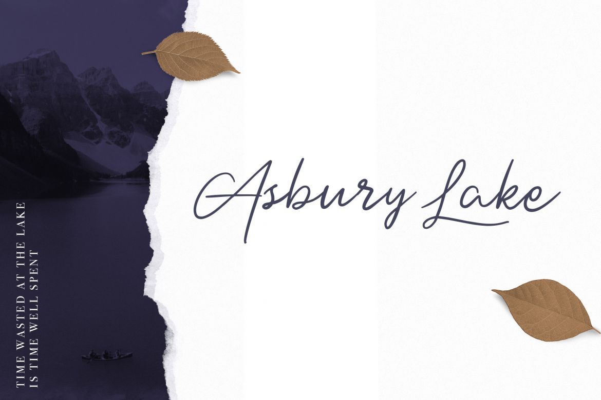 Dotyville Script Font - view 4