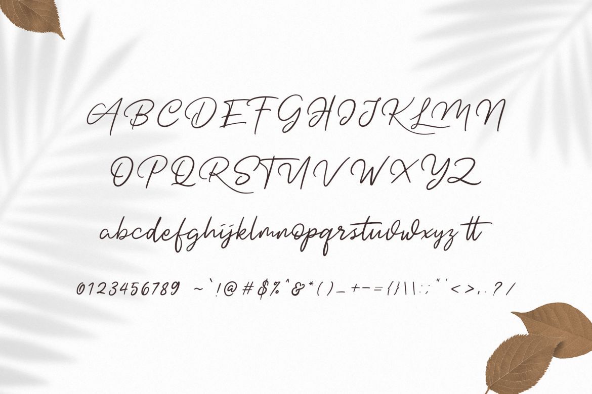 Dotyville Script Font - view 10