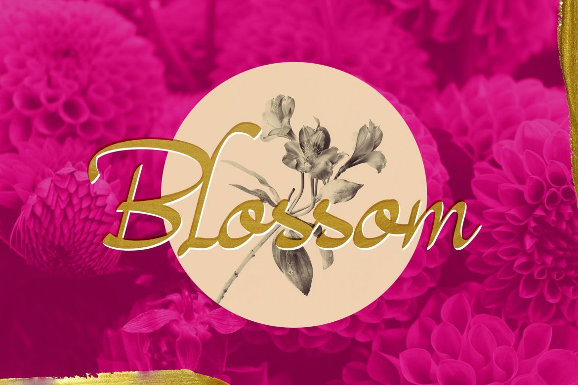 Magenta Rose Font - view 5