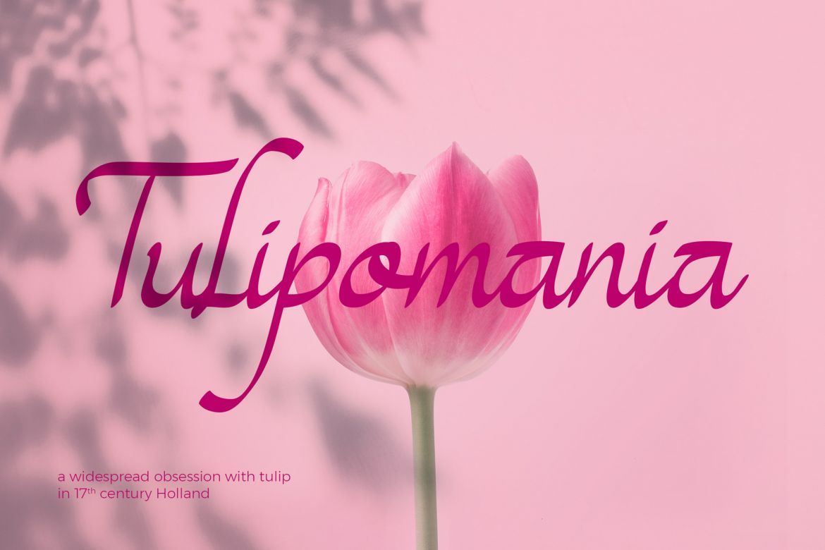 Magenta Rose Font - view 6