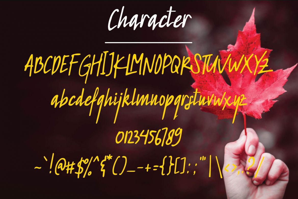 Redleaf Typeface - view 4