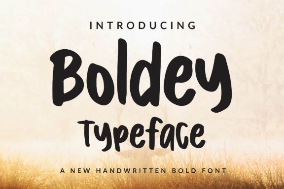 Boldey Typeace - A New Handwritten Bold Font