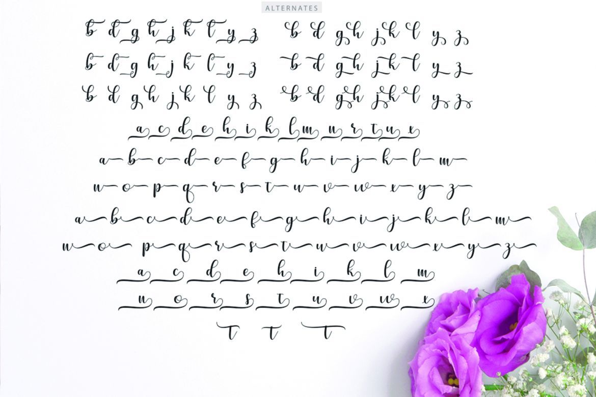 Cerilleta Script - view 4