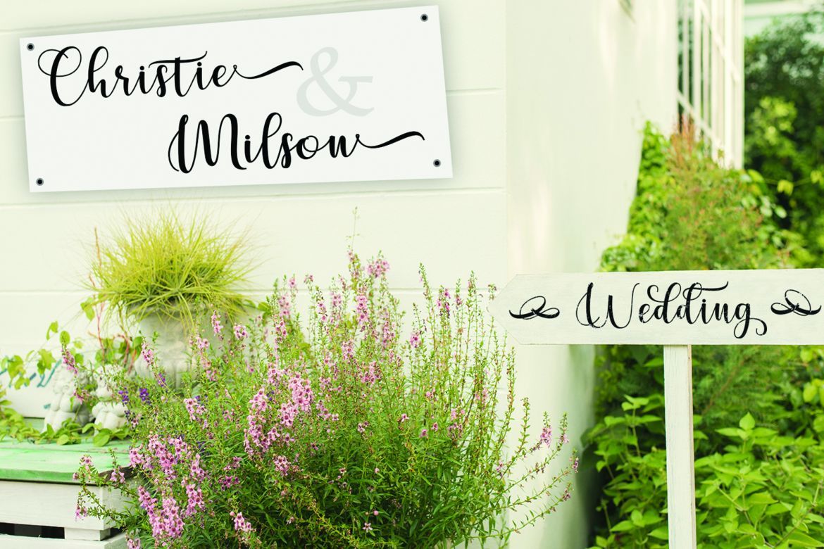 Cerilleta Script - view 9