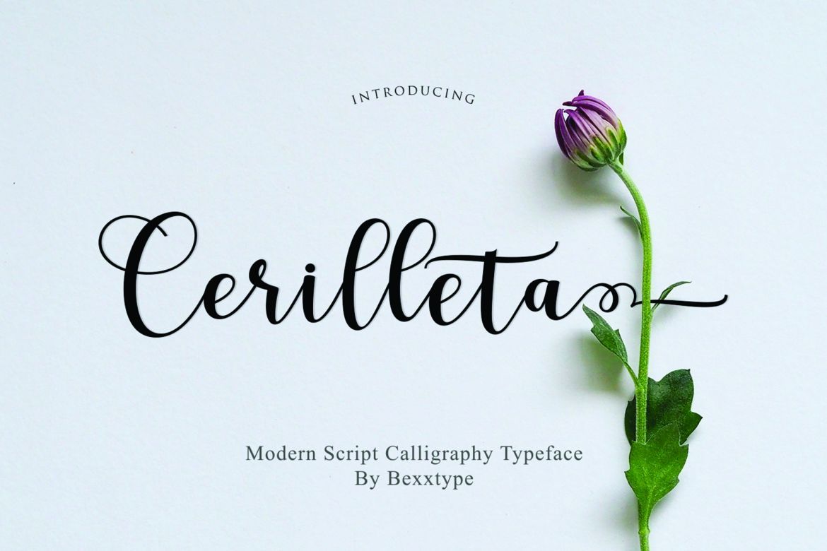 Cerilleta Script - view 11