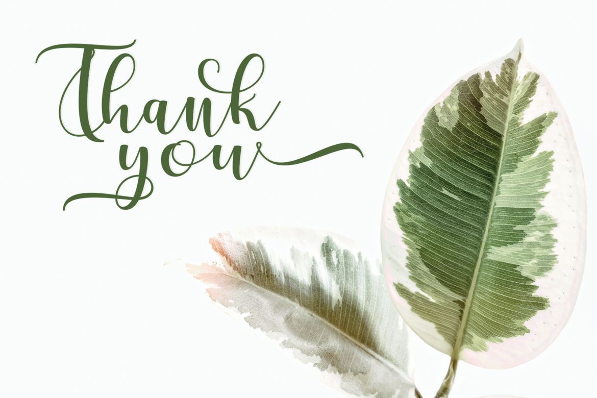 Cerilleta Script - view 12