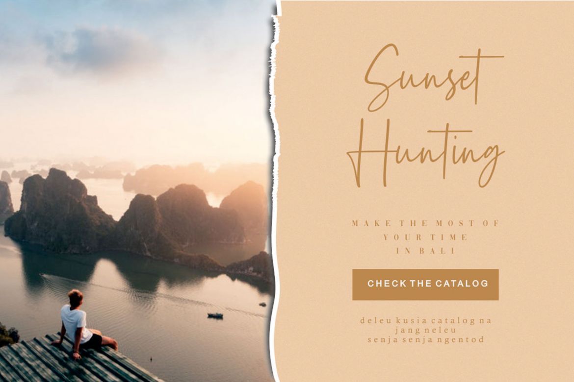 Reactin Script - view 4