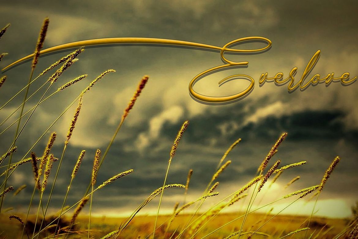 Everlove Script - view 3