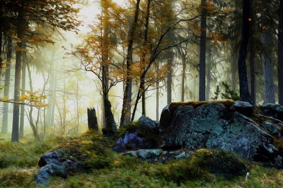 Free Realistic Painting Action