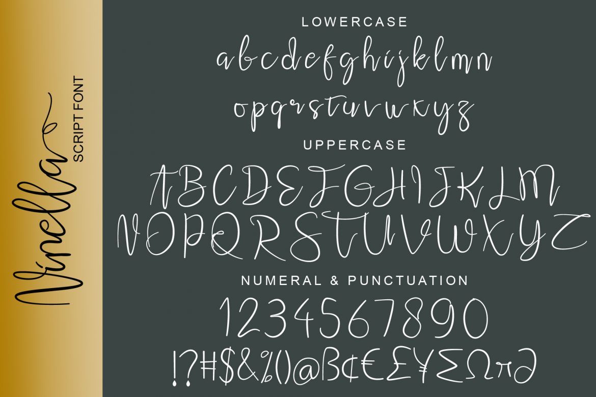 Ninella Script - view 6