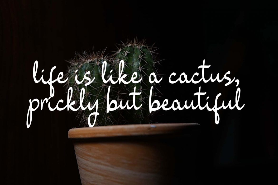 Shenttica Script - view 3