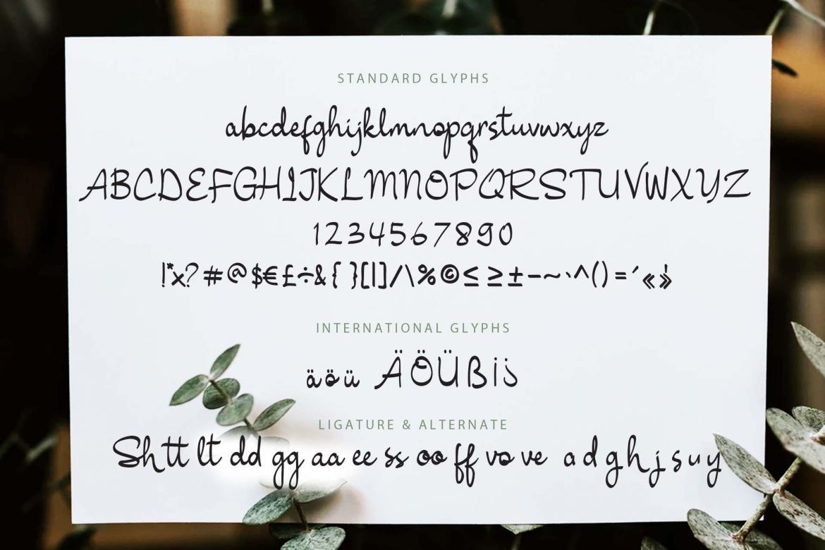 Shenttica Script - view 6