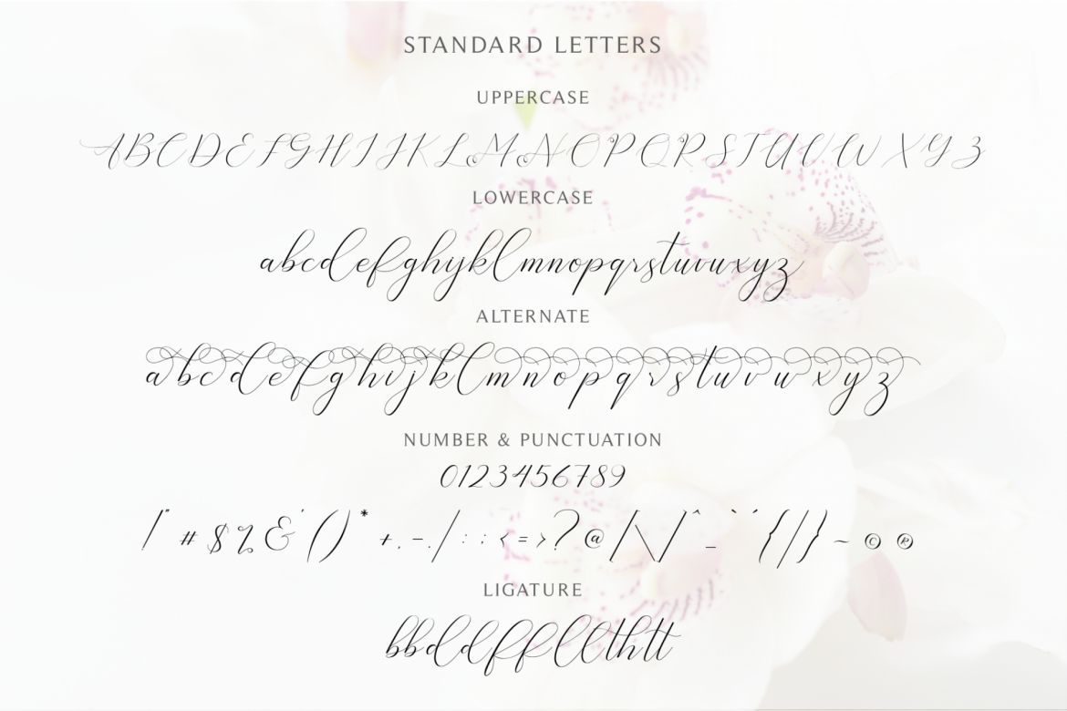 Bathey Calligraphy - view 5