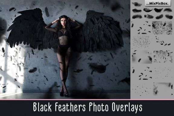 Black Feathers Overlays