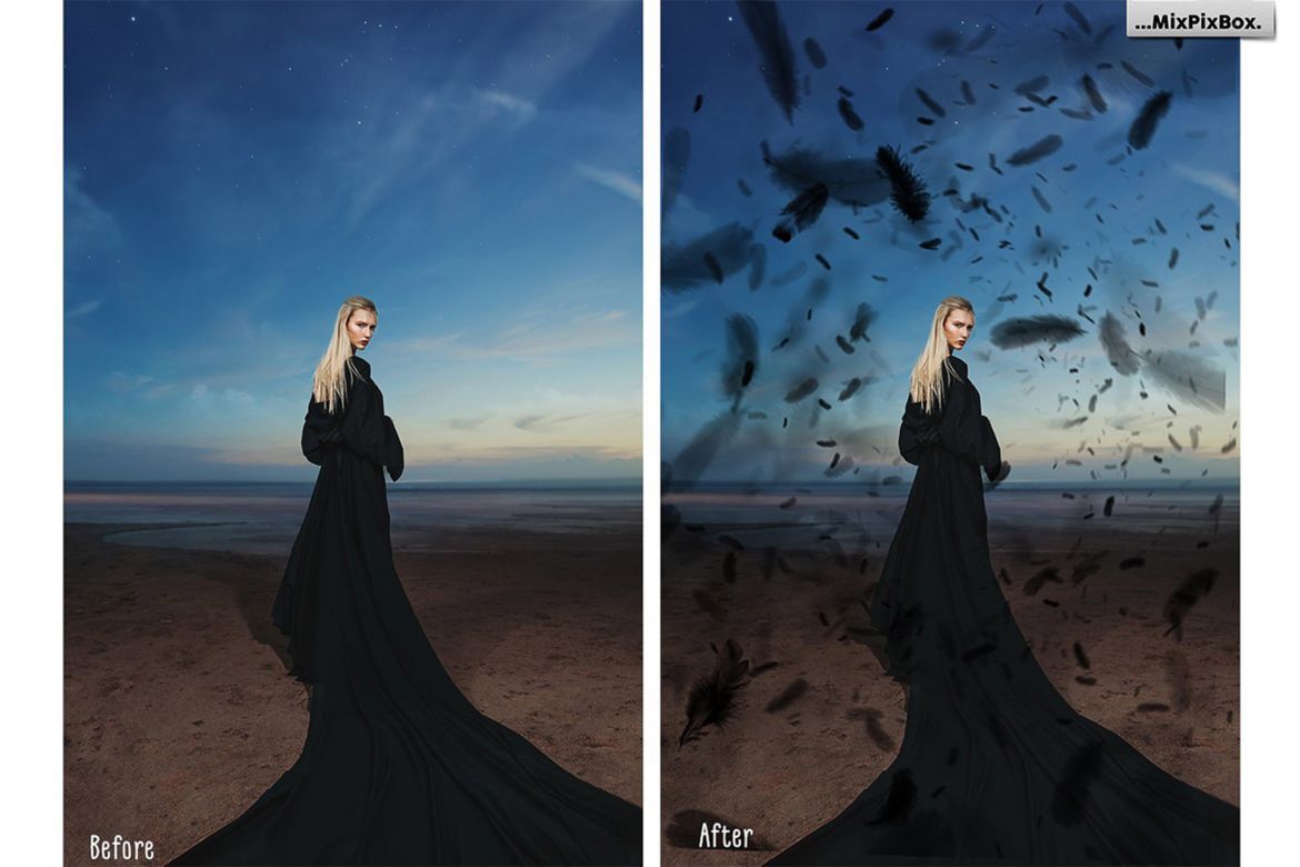 Black Feathers Overlays alternate