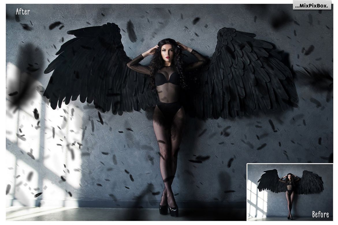 Black Feathers Overlays - view 3